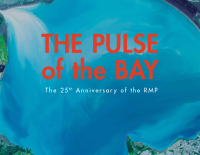 Pulse cover