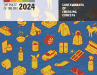 Report cover