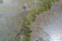 Corte Madera marsh edge aerial image