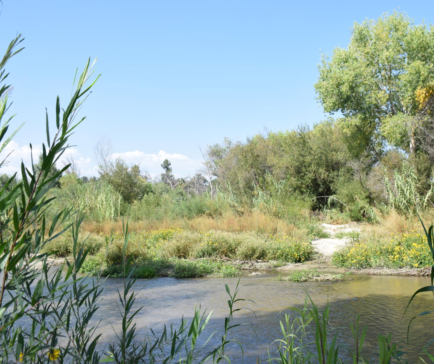 Creek