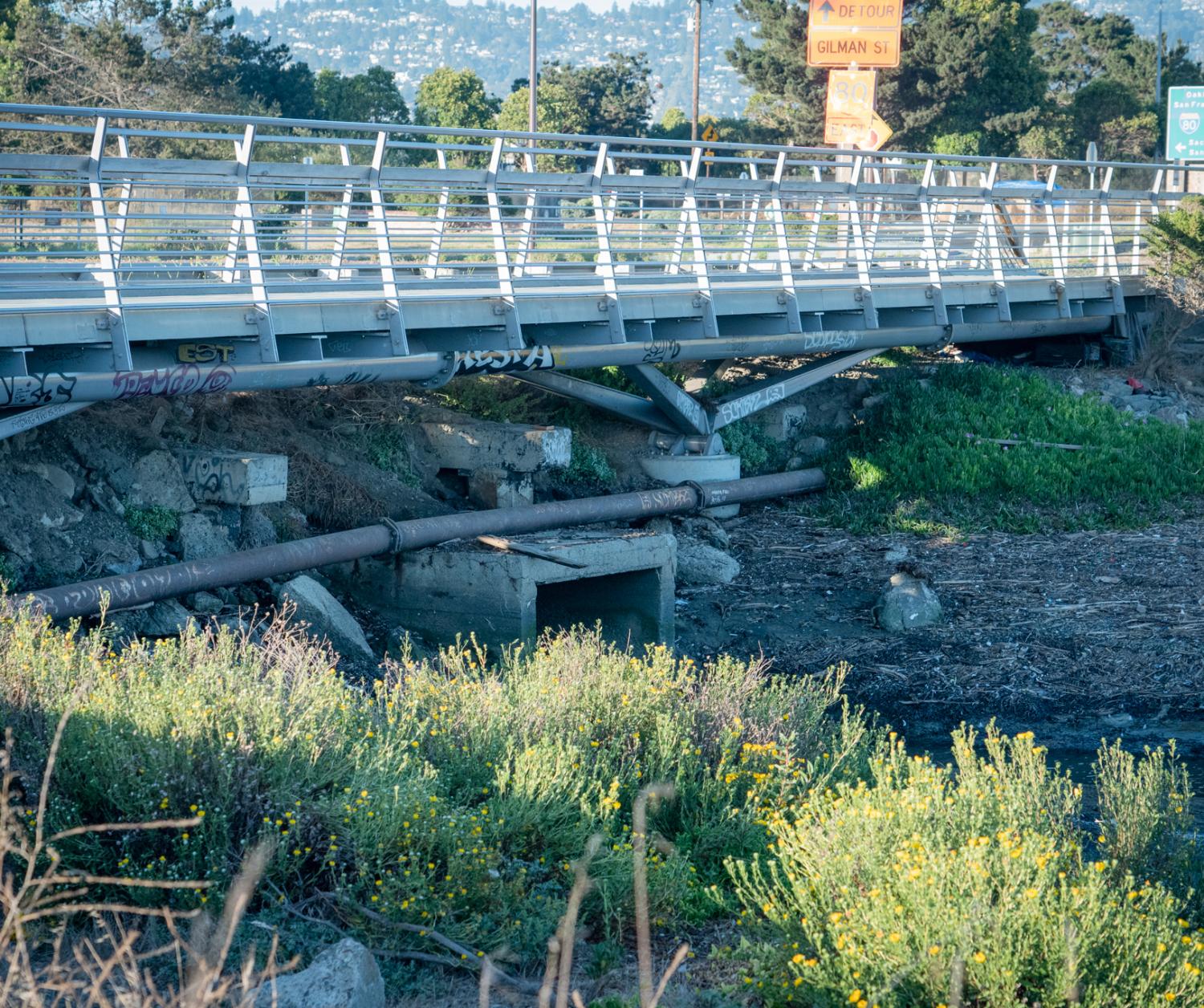 bridge