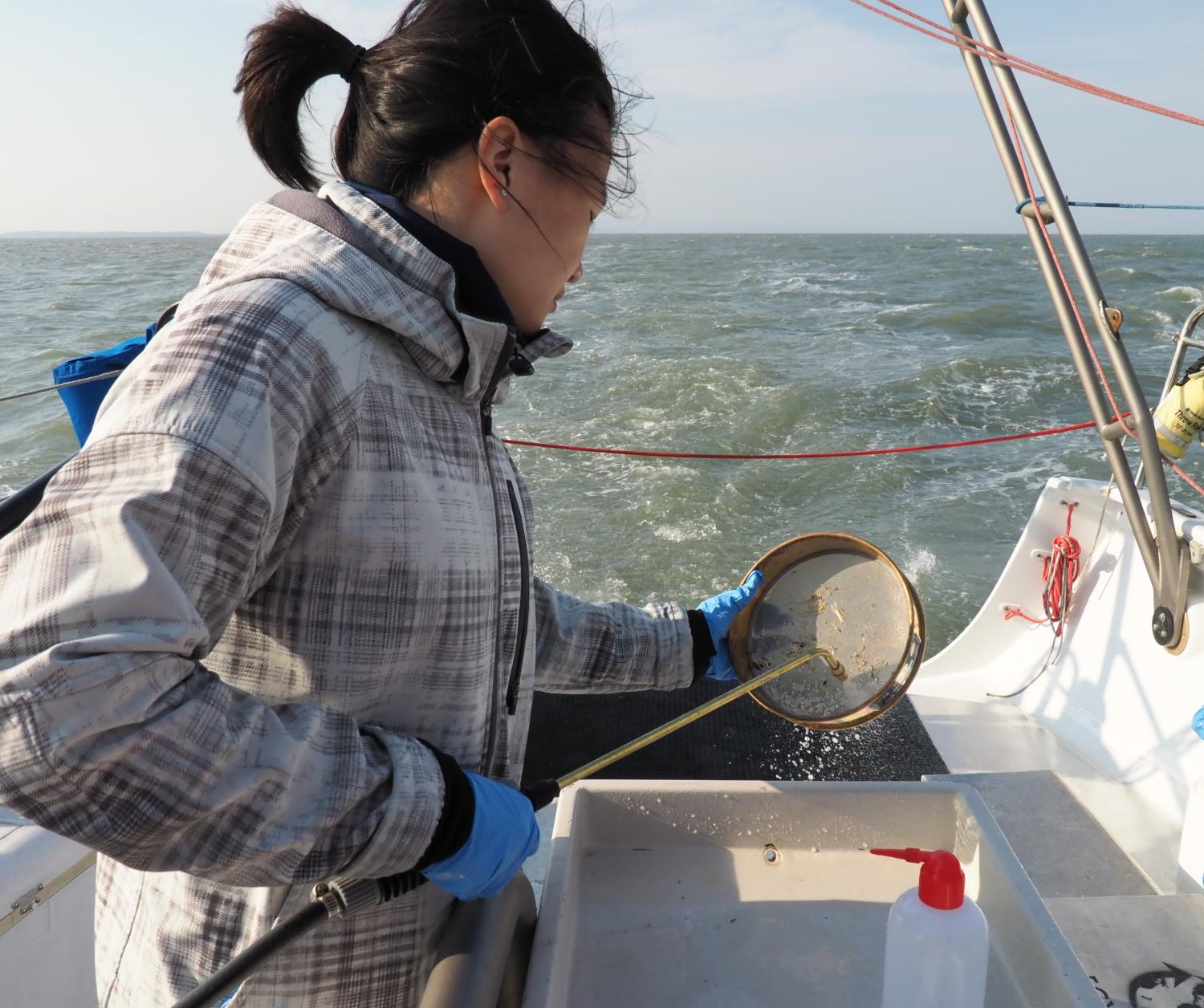 microplastics monitoring