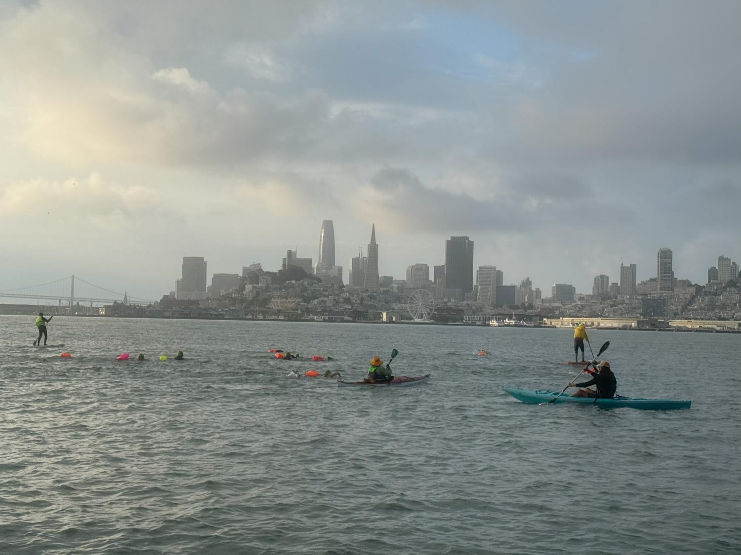 paddle boarders in the Bay