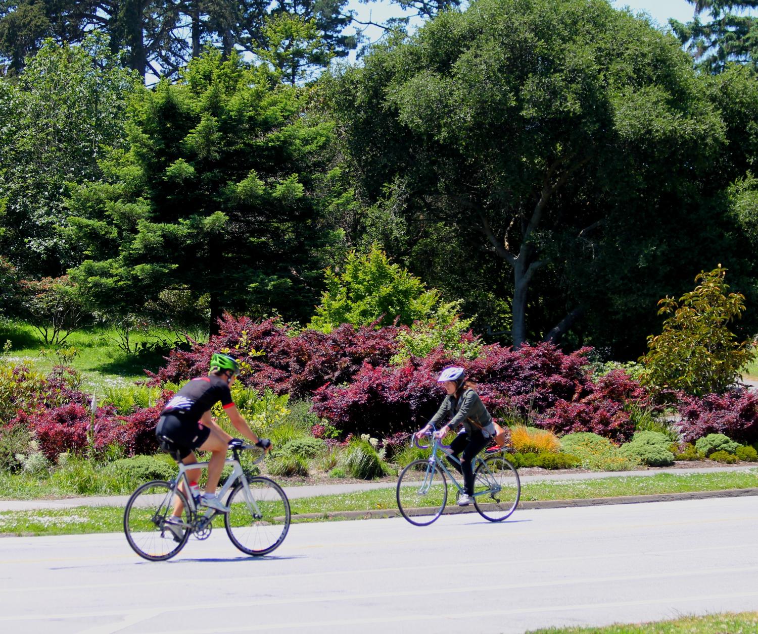 Bikers on a paved road with a variety of different plants and trees behind them