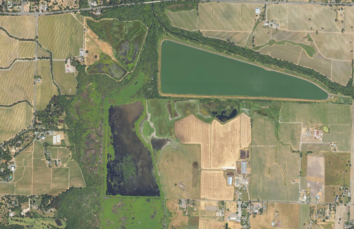NAIP imagery over part of the Laguna Wildlife Area