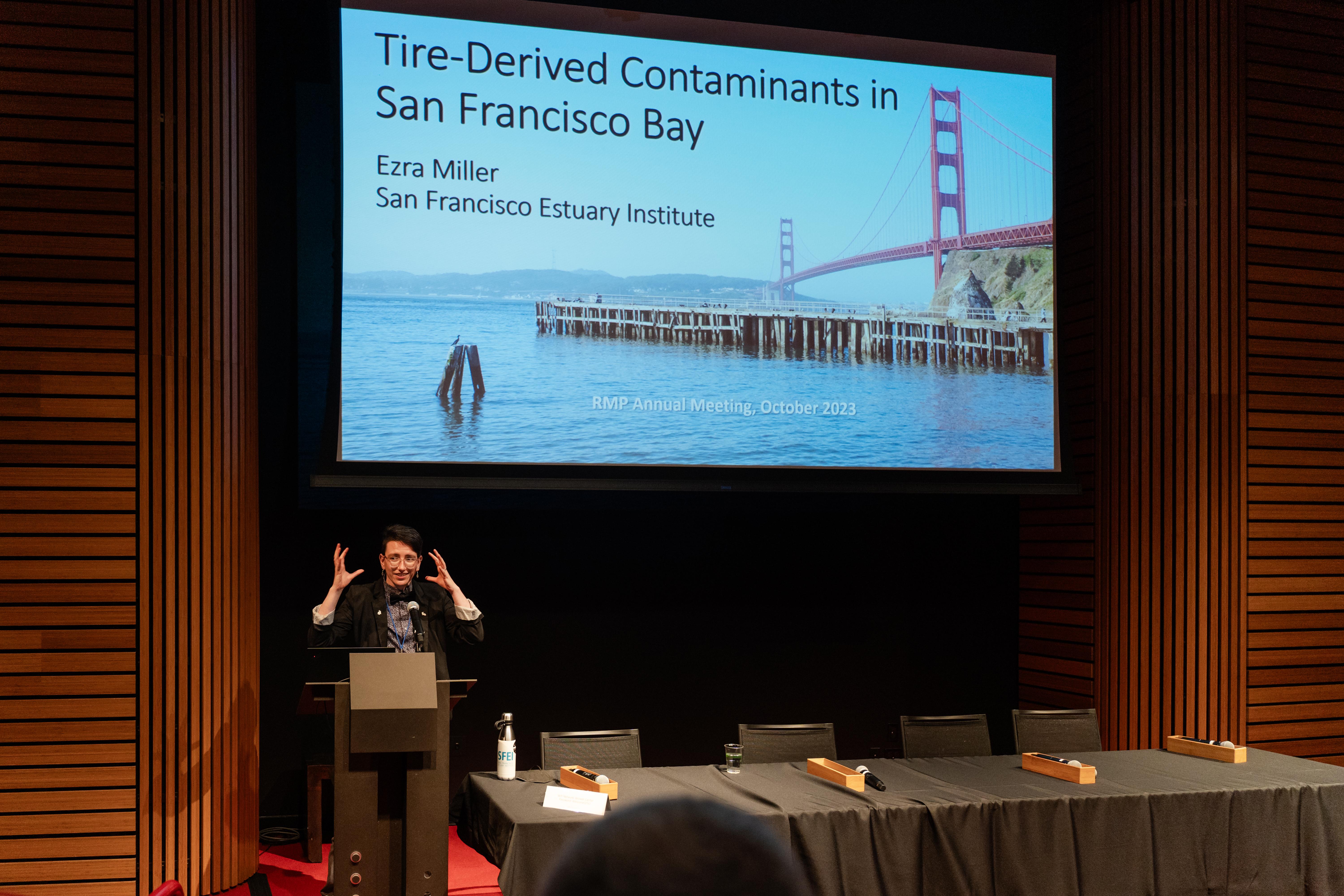 person presenting at a conference