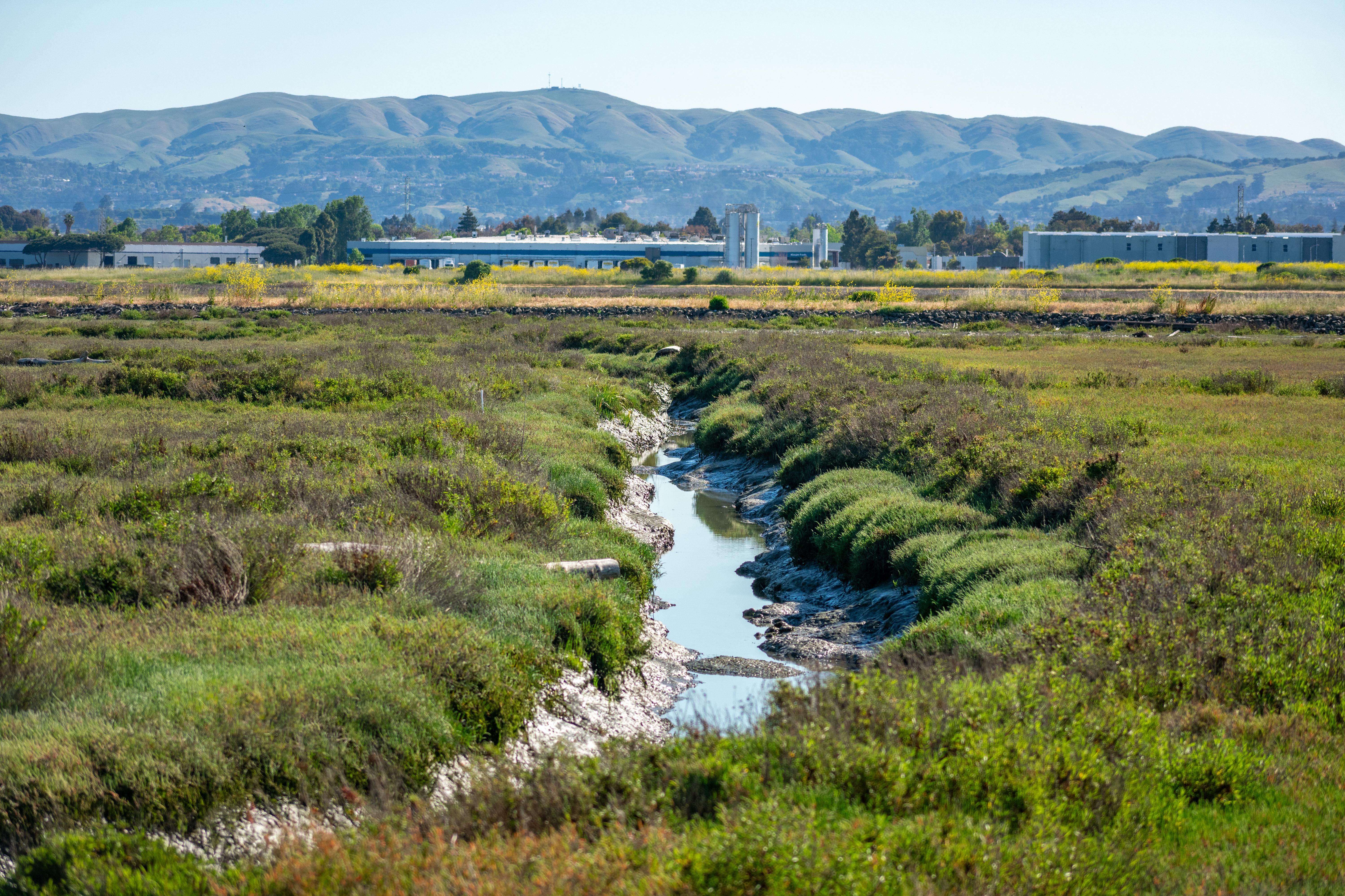 Hayward Regional Shoreline