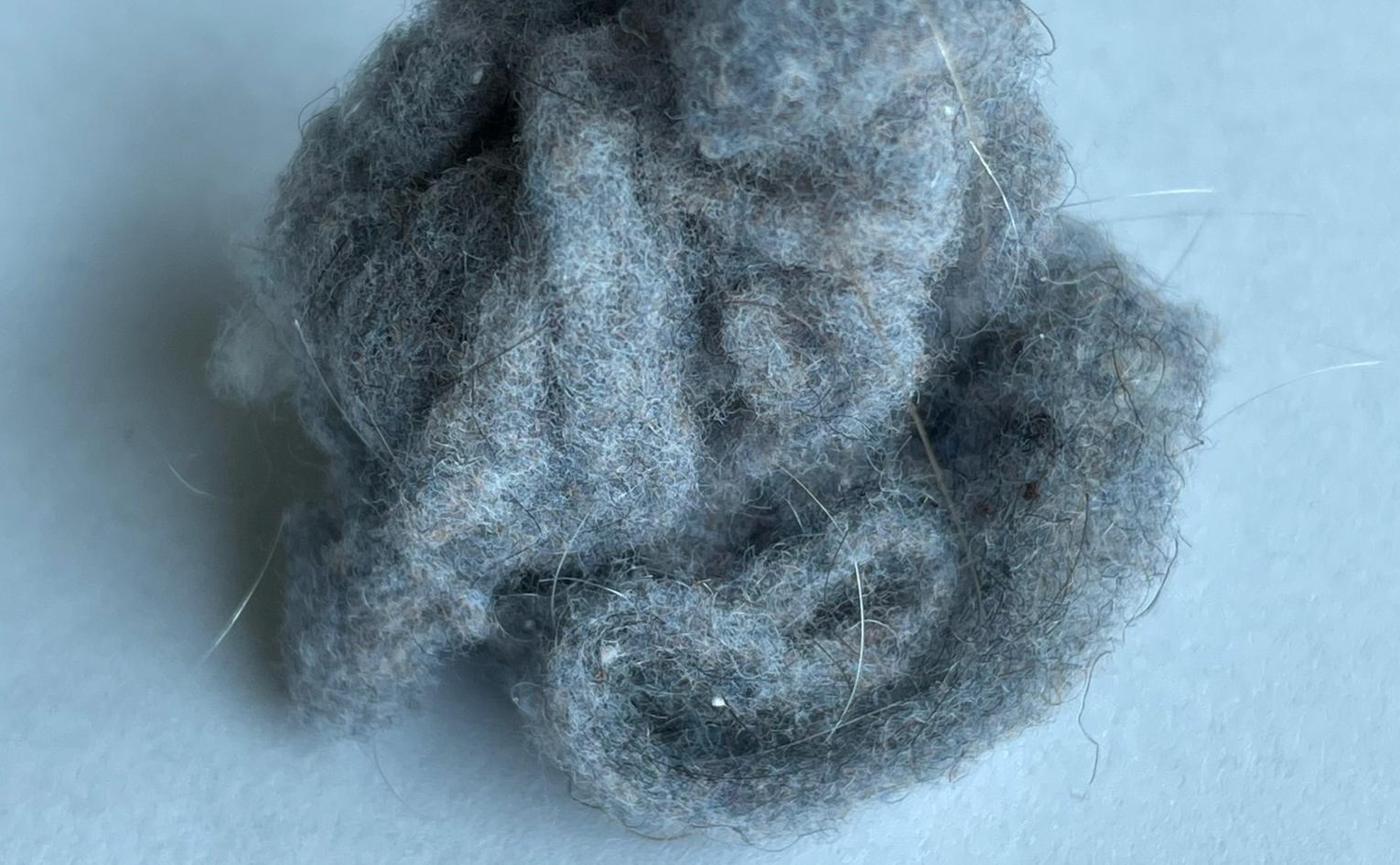Lint