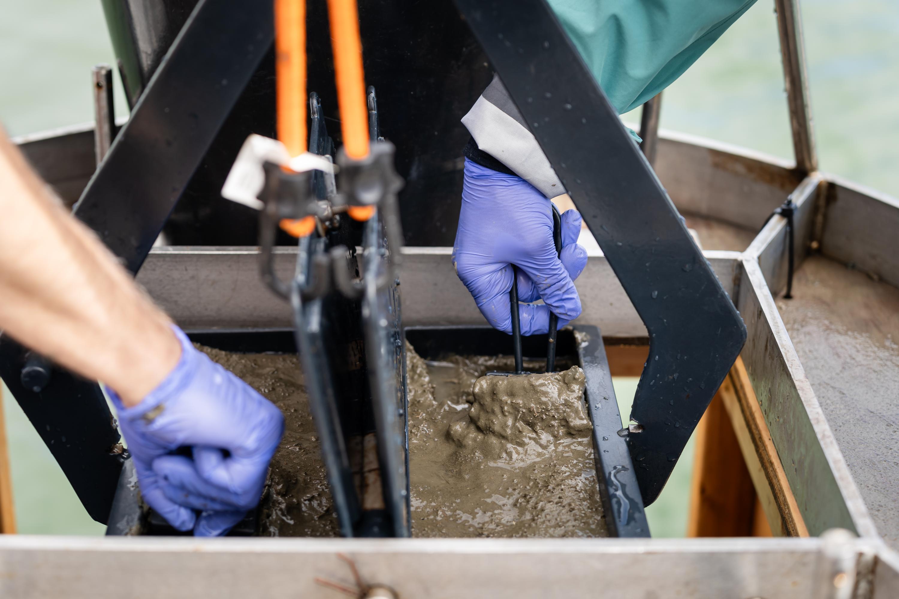 Sediment Cruise1