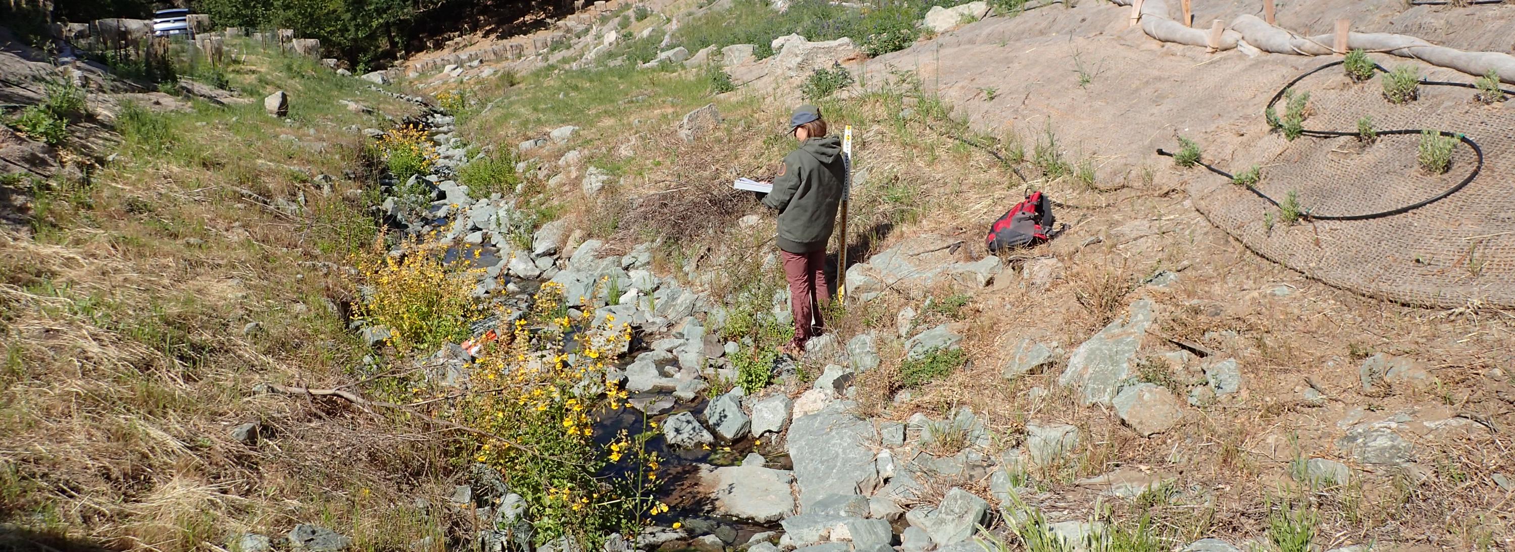 Person walking by a creek