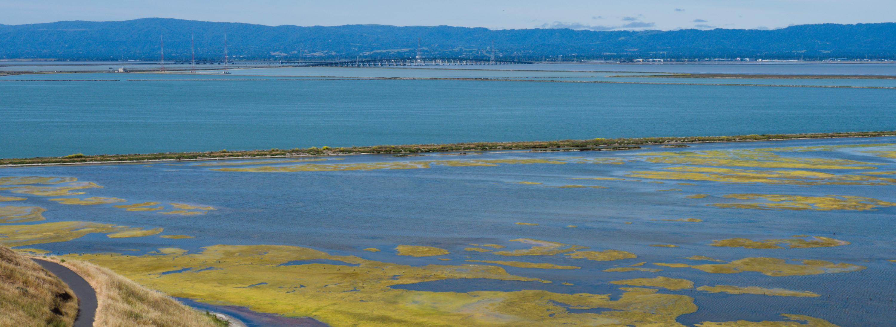 Baylands