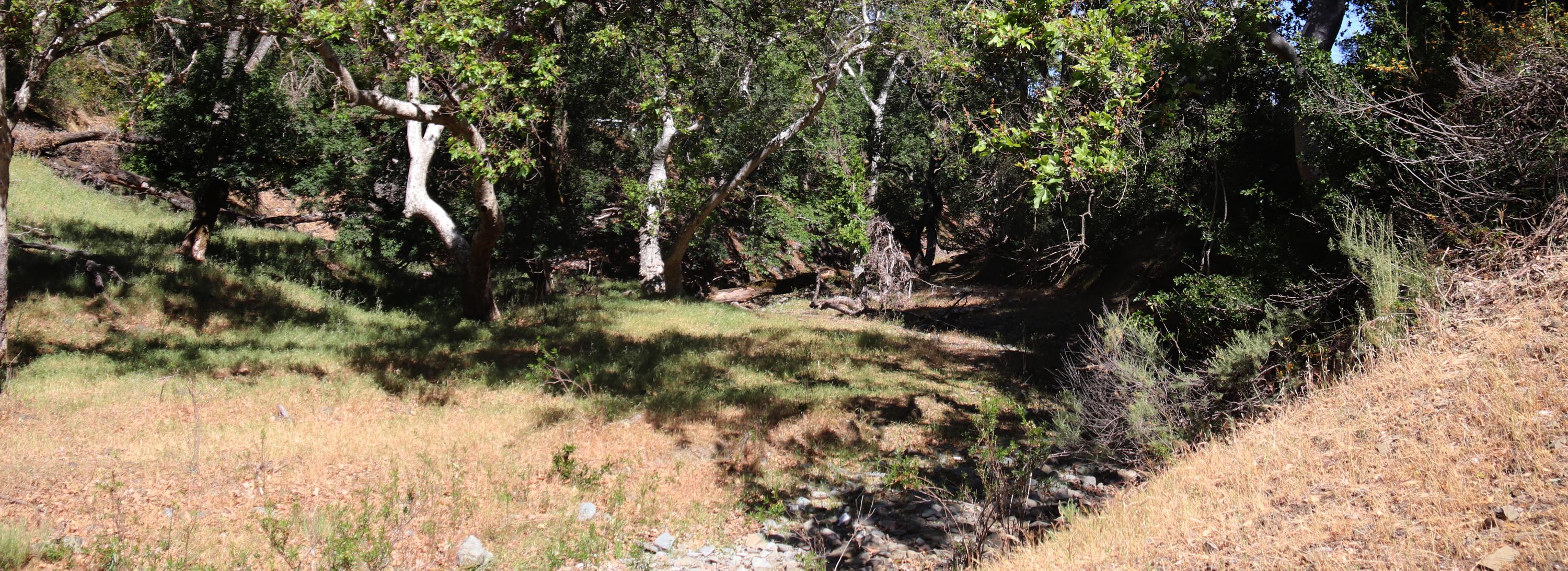 Creek