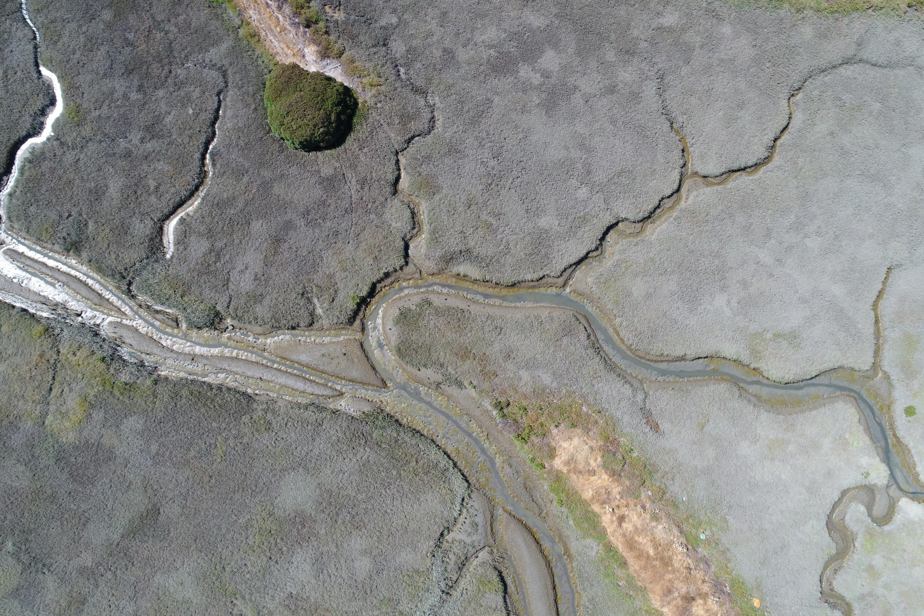 Aerial image of Corte Madera Marsh
