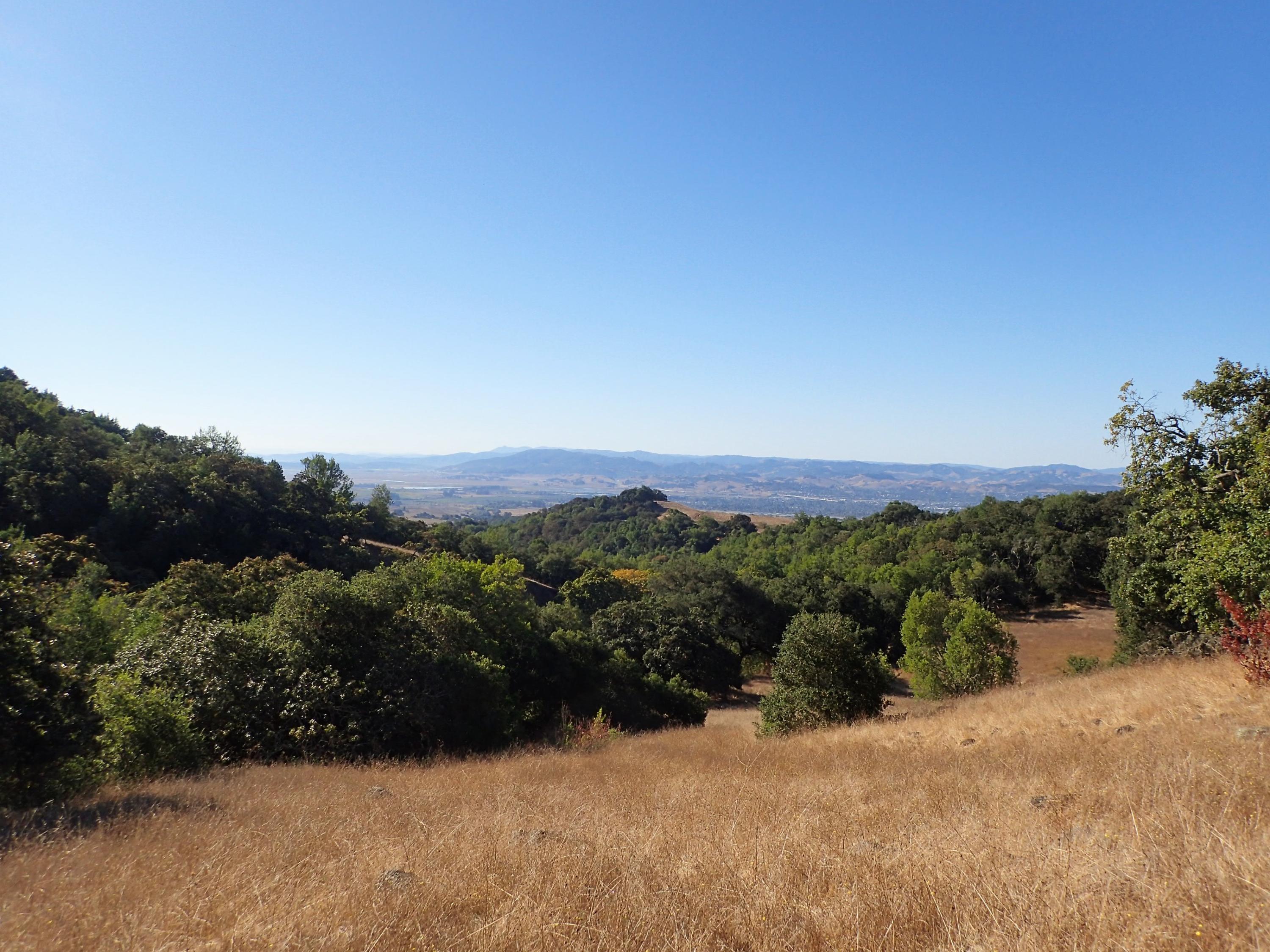 Landscape view of the Petaluma River watershed