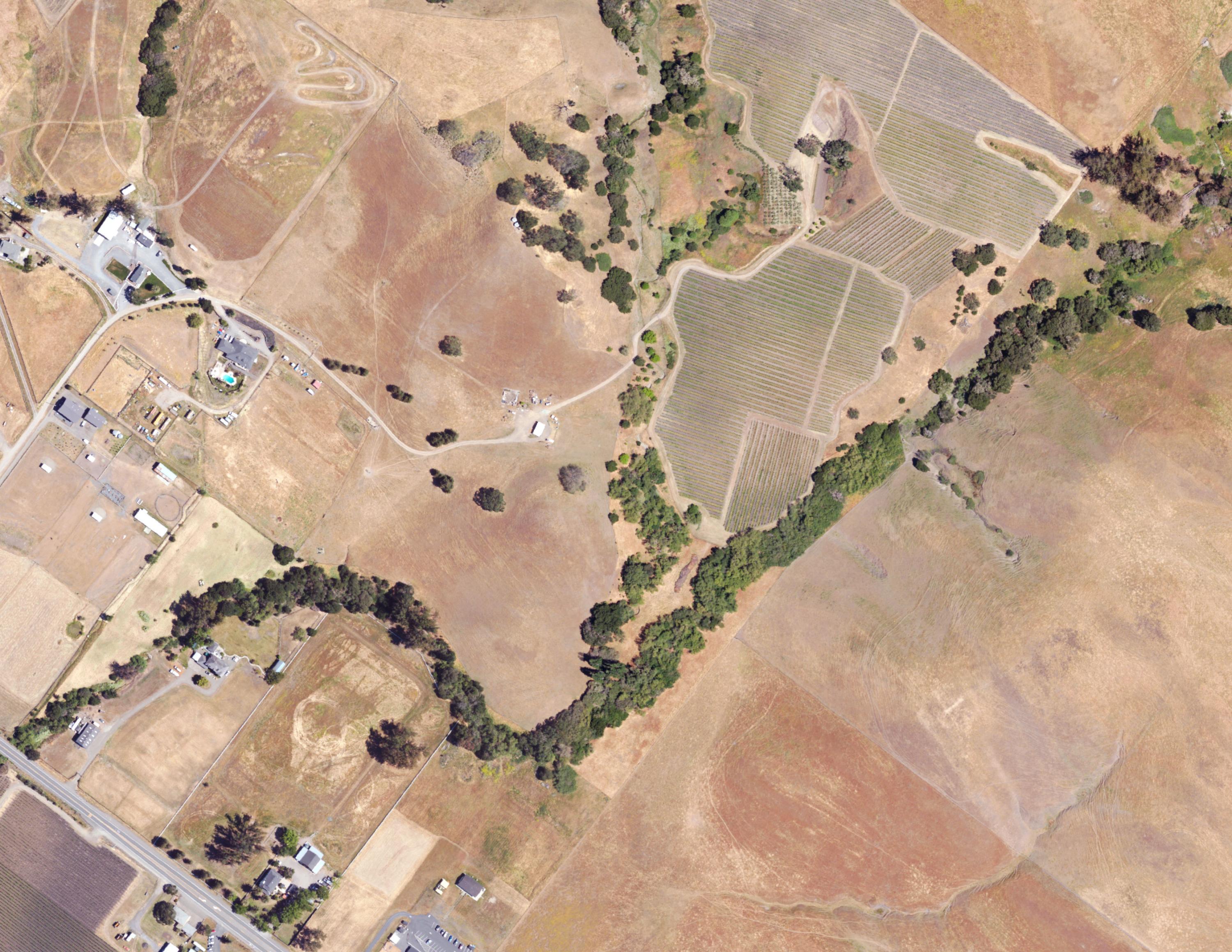 Aerial image of riparian vegetation in the Petaluma River watershed