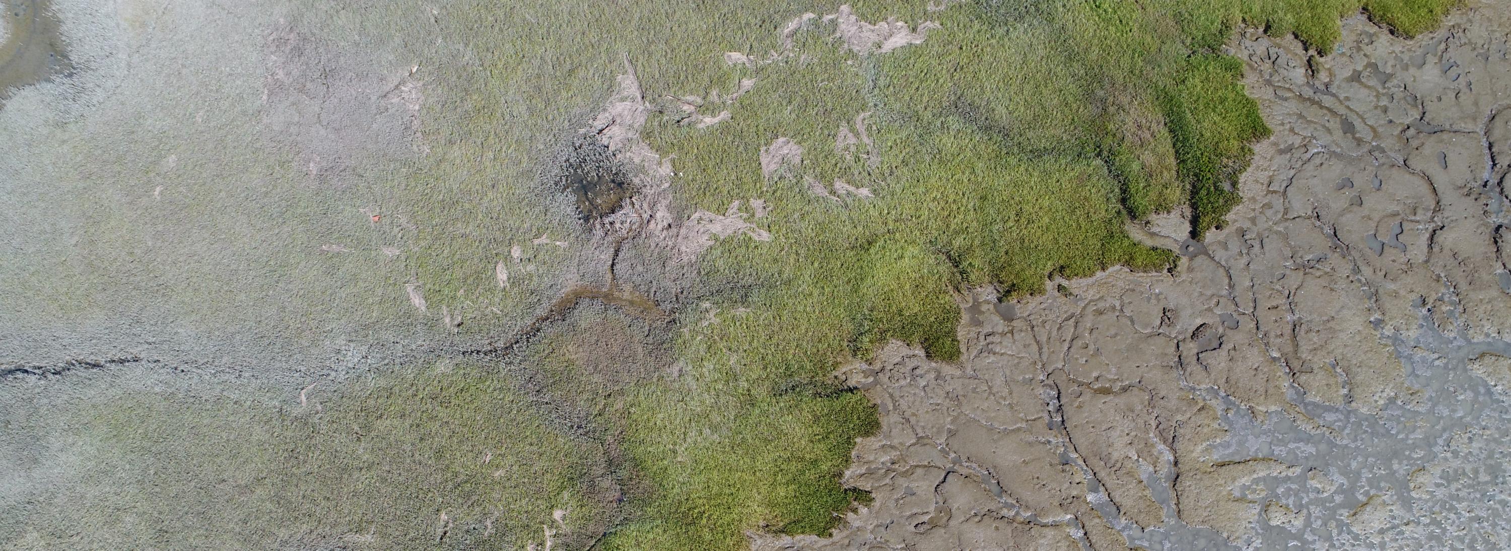 Aerial image of Corte Madera growth edge