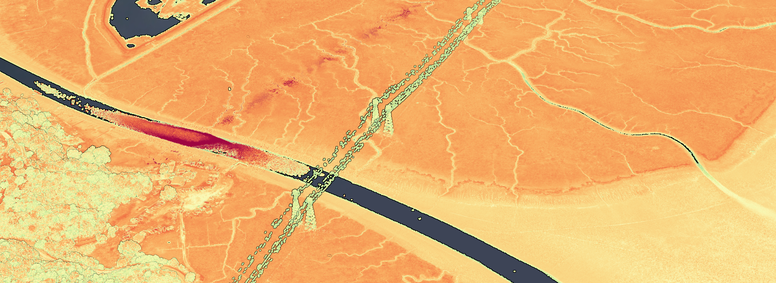 A screenshot of a lidar point cloud from China Camp area