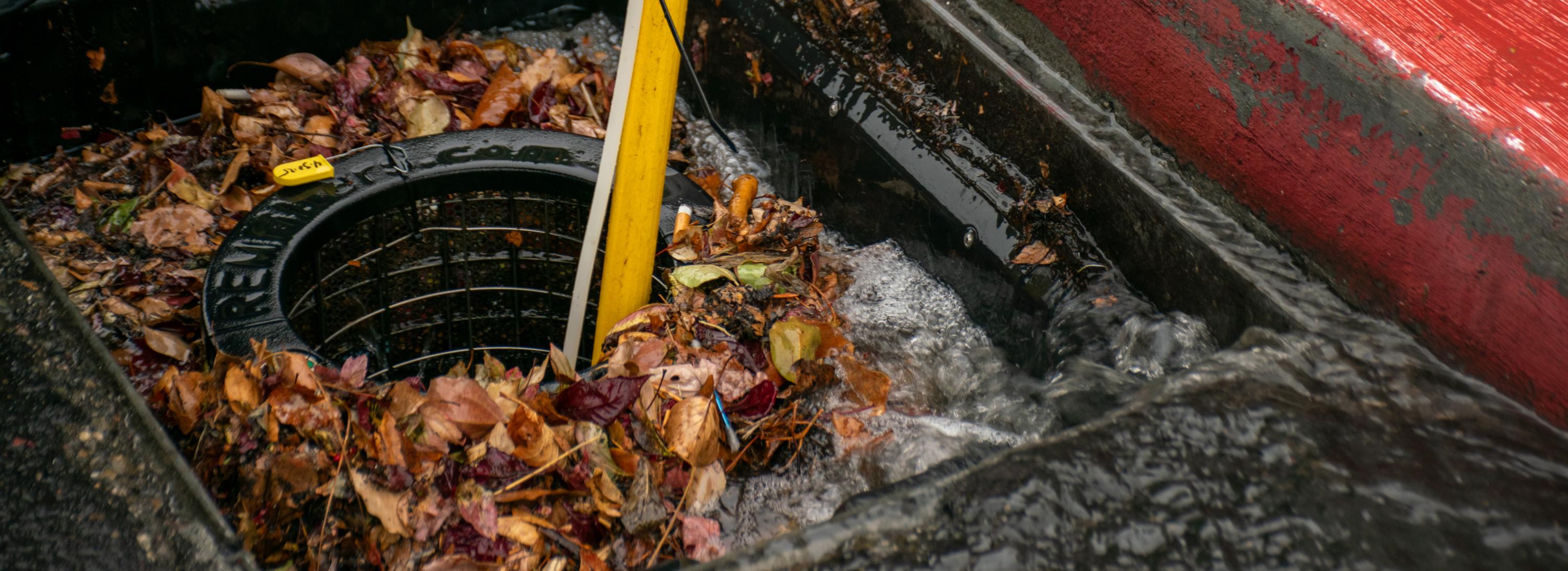 Water and leaf debris flow into an open storm drain. A hand grips a sampling pole inserted into the drain