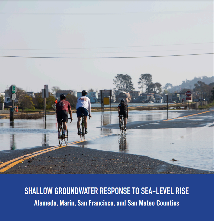 Shallow Groundwater Response to Sea-Level Rise