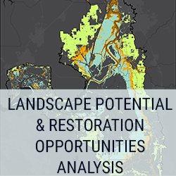Landscape Potential