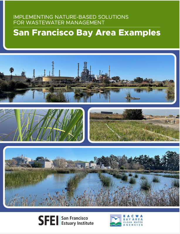 Report Cover: Implementing Nature-based Solutions for Wastewater Management