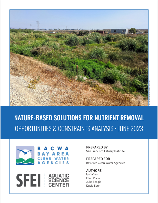 Report Cover: Phase I Opportunities &amp; Constraints Analysis