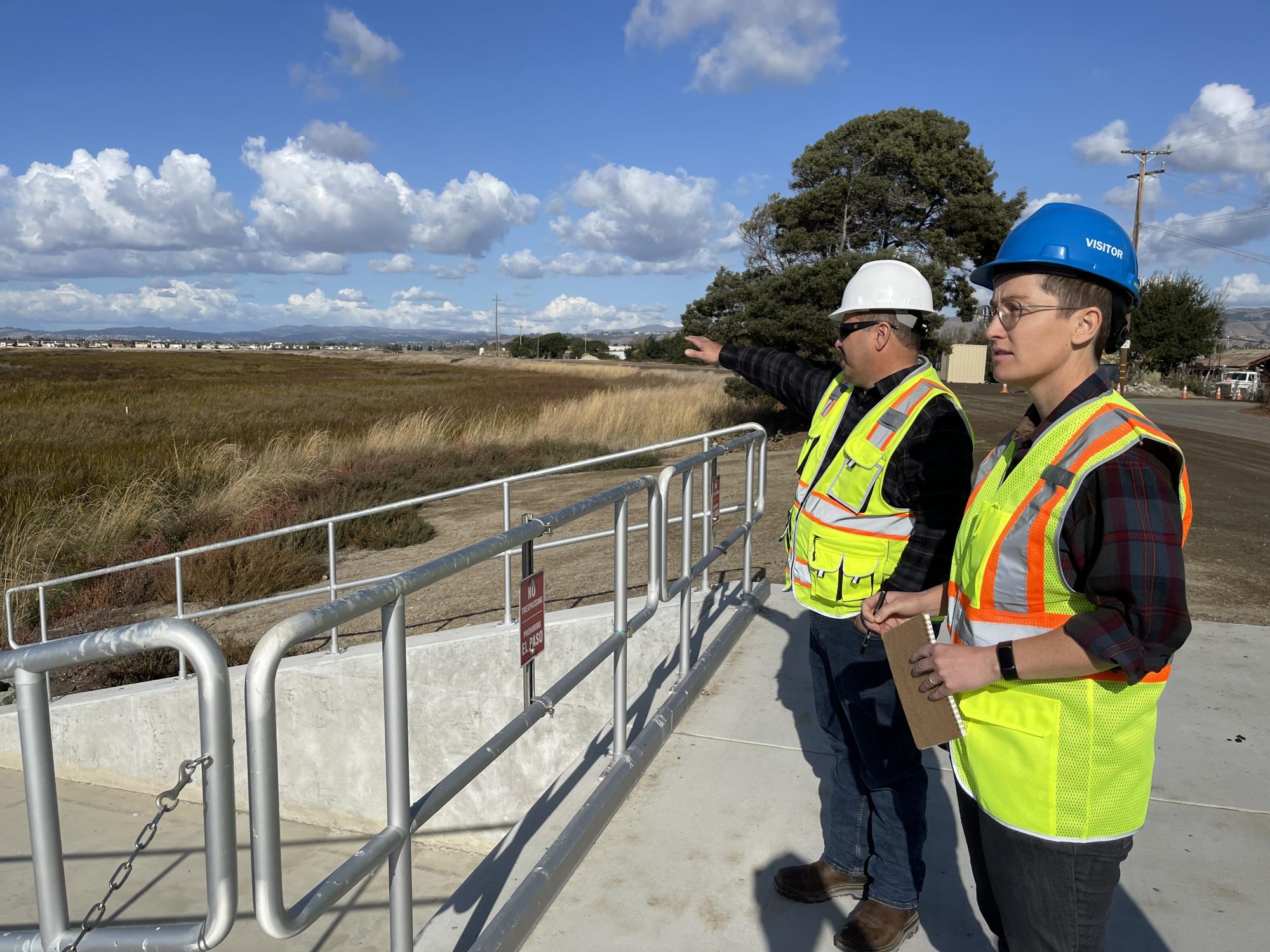 Photo of two people talking and pointing at a wetland, wearing safety vests and hard hats