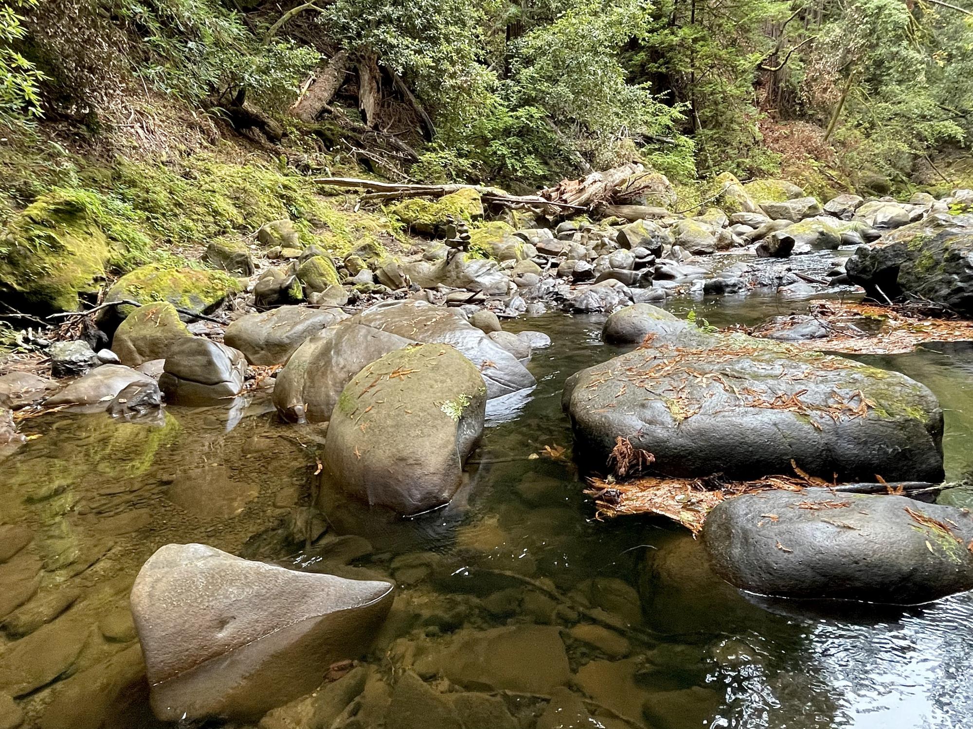 Pescadero Creek Low-Flow Conditions Report