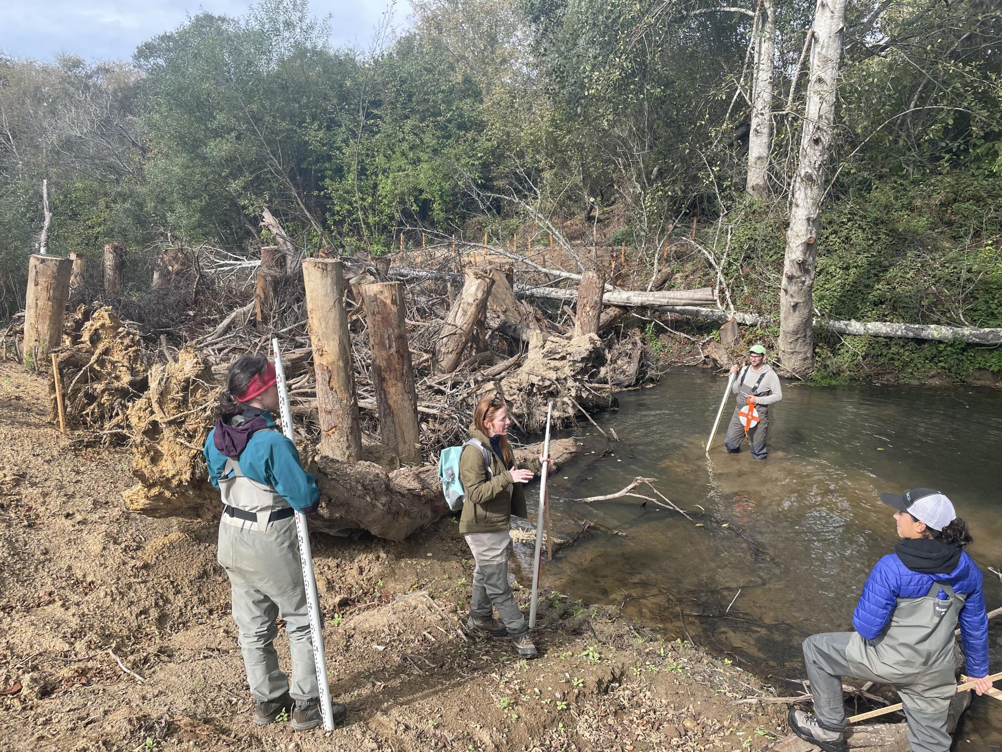 Field technicians discussing an engineered log jam on Butano Creek