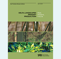 Document cover