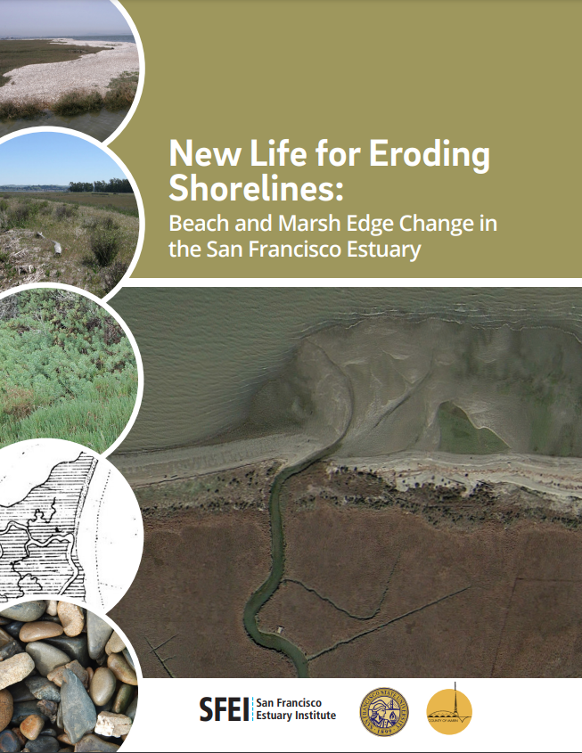 Report cover: New Life for Eroding Shorelines