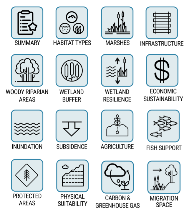LSPT graphic