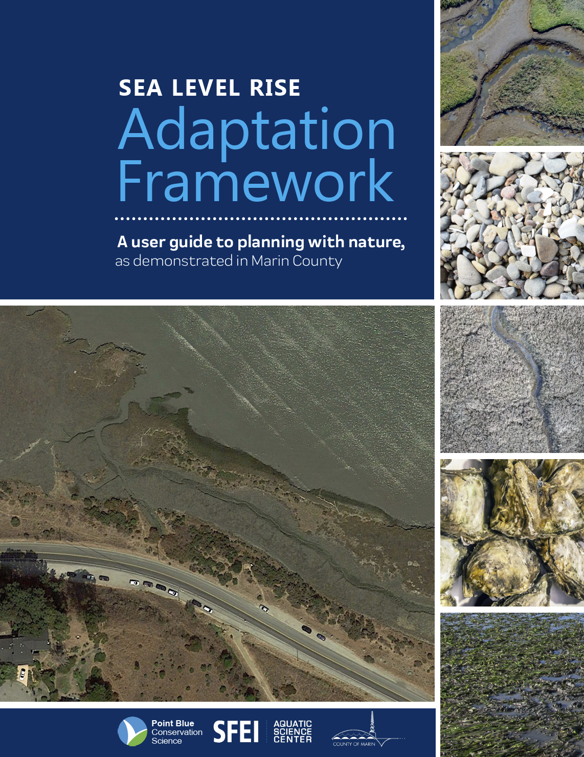 Report cover