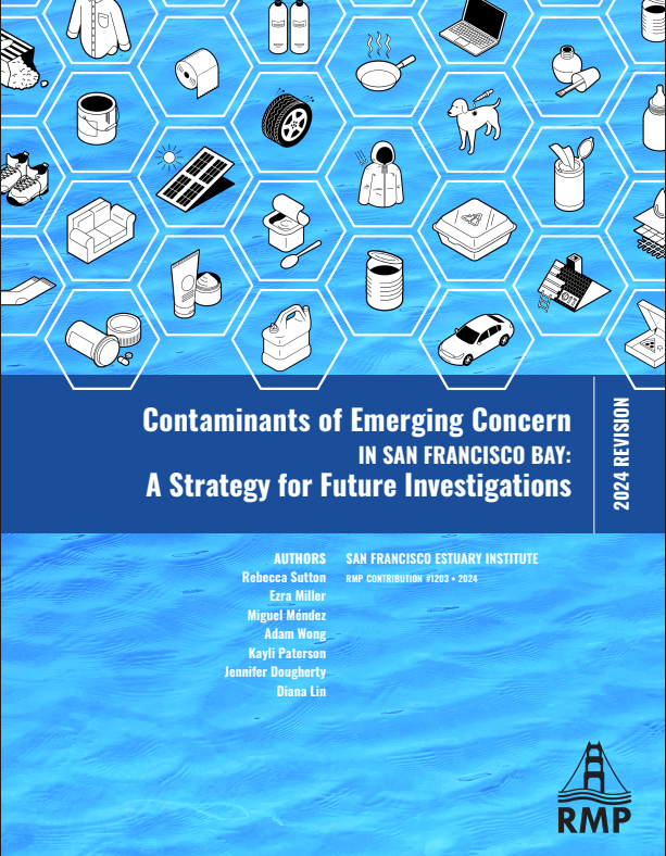 CEC Strategy Cover 2024