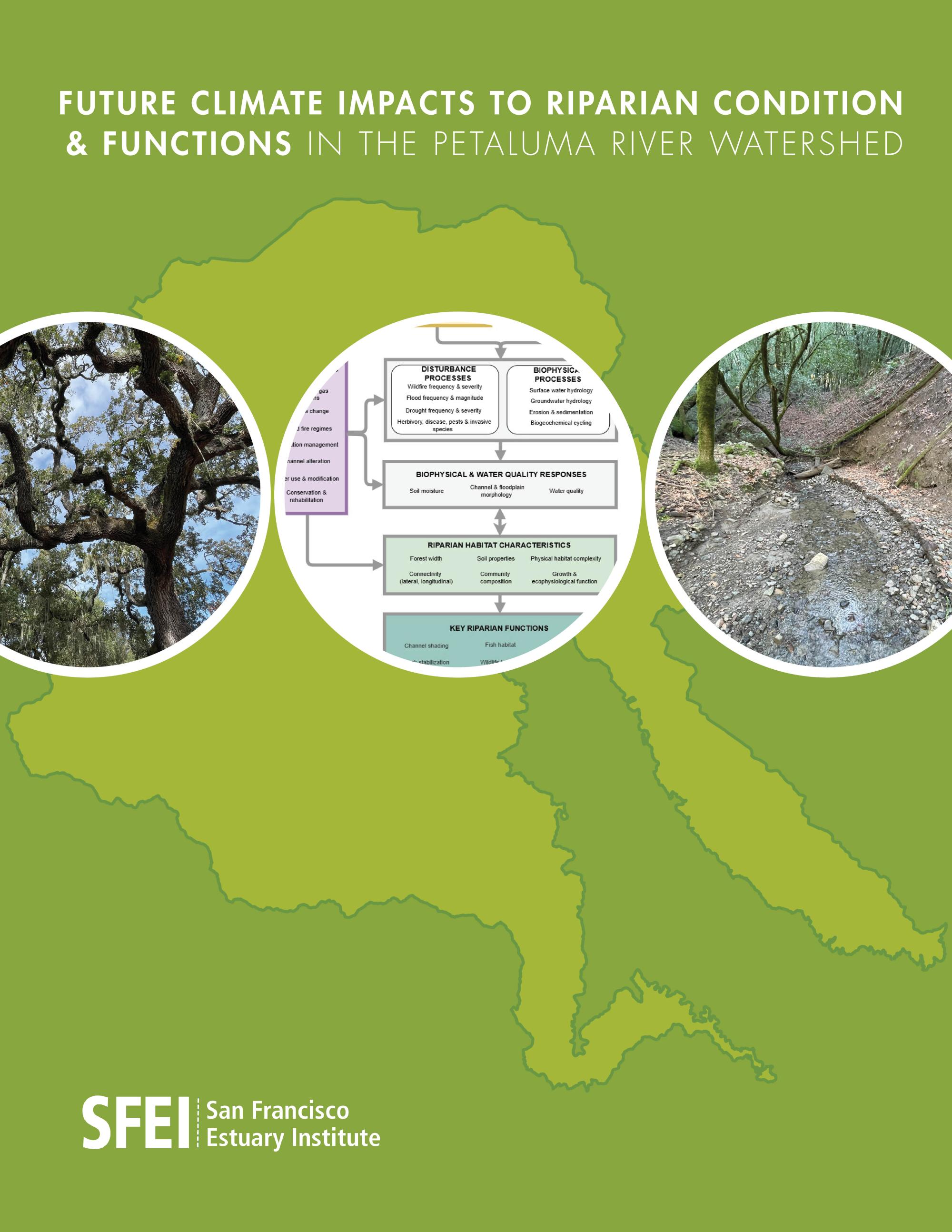 Cover of the future climate impacts to riparian ecosystems in the Petaluma River watershed report