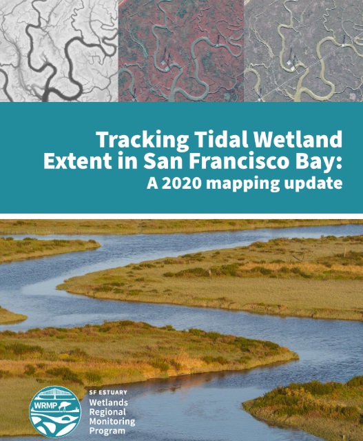 Collage of aerial images and photos of tidal marshes.