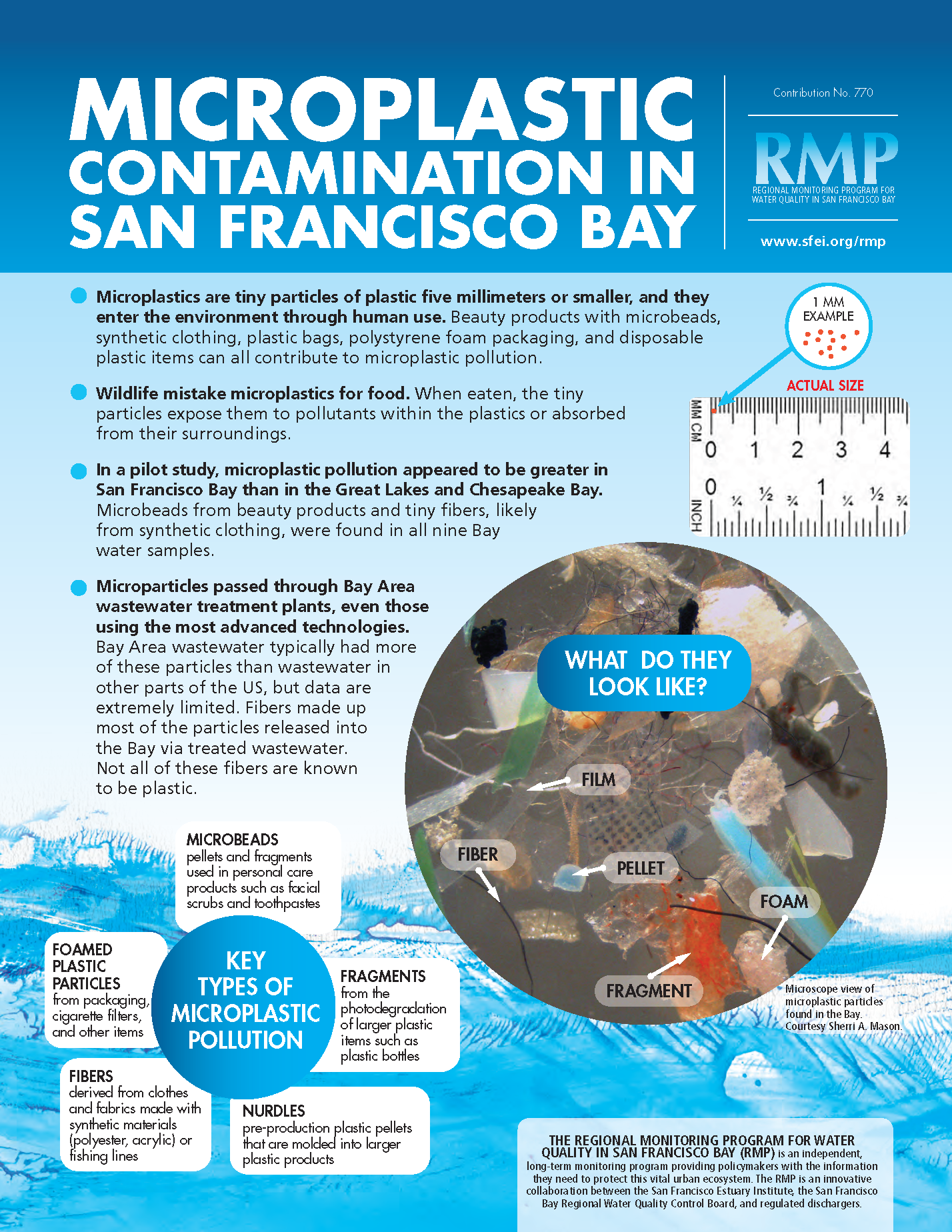 Factsheet cover image