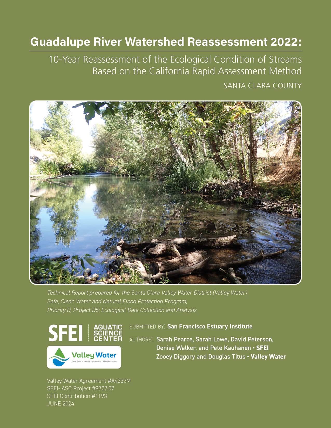Guadalupe River Watershed Reassessment 2022 cover page