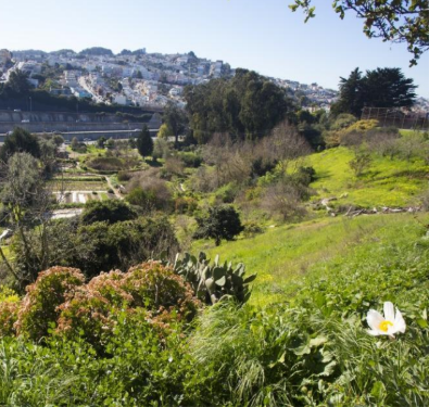 Islais Creek Watershed, San Francisco