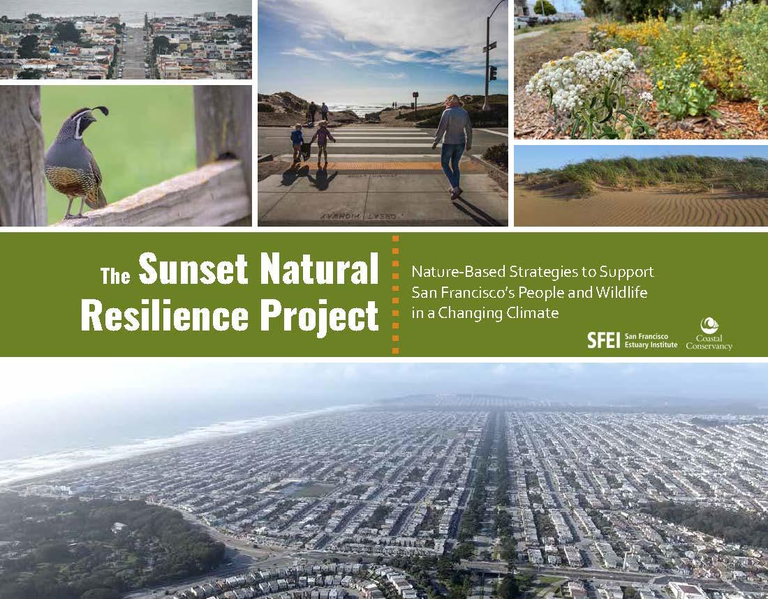 Report cover showing the title and a mosaic of images of Western San Francisco, including a sweeping aerial view looking down Sunset Boulevard and Ocean Beach