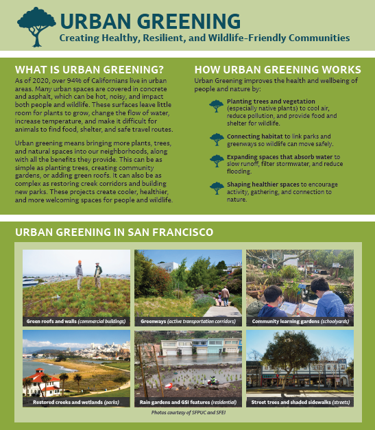 fact sheet preview