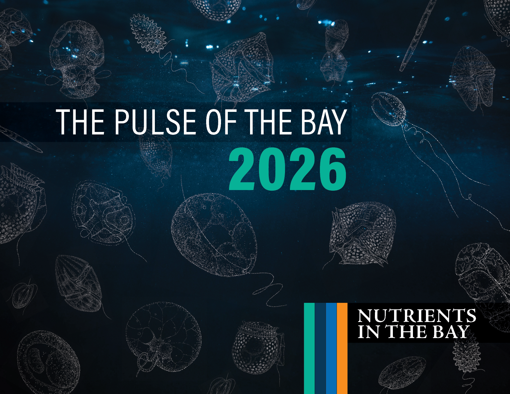 Report cover with dark background and illustrations of algae. Reads "The Pulse of the Bay 2026: Nutrients in the Bay"