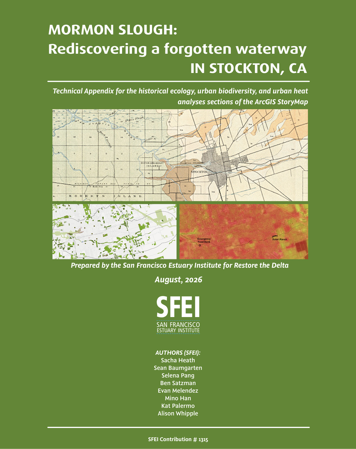 Mormon Slough Technical Appendix cover page