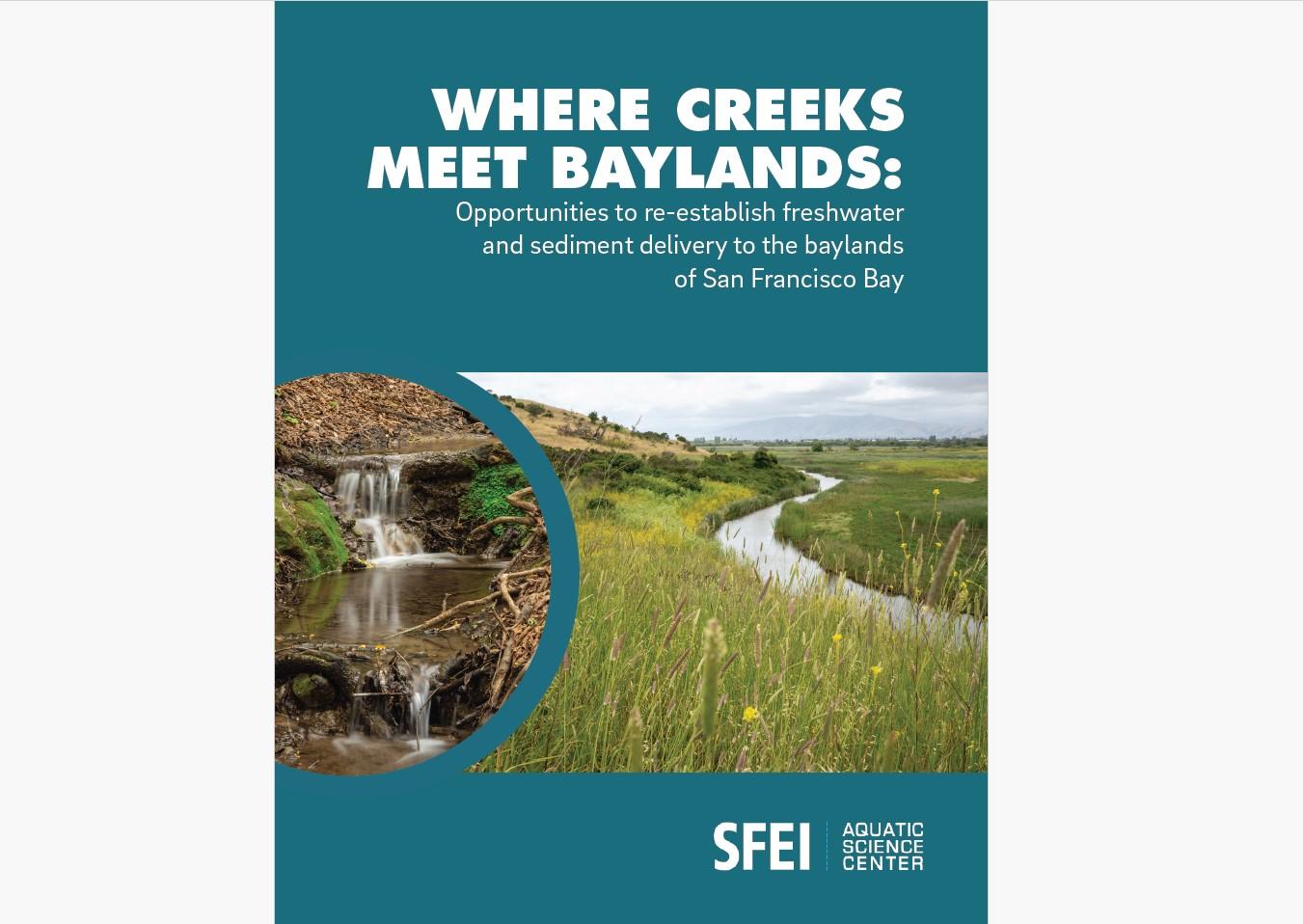 Cover of a report with wetland on the front