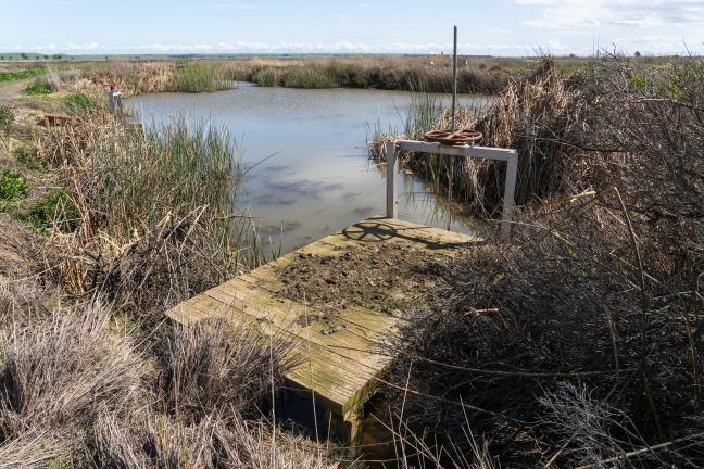 Marsh