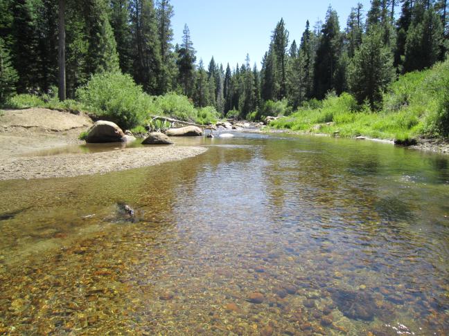 Stream