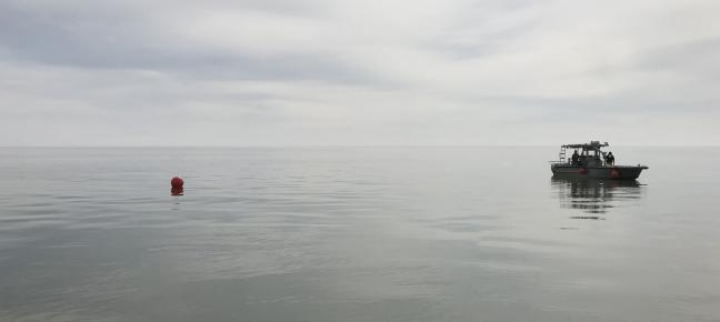 Buoy