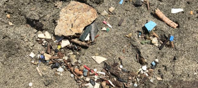 microplastics in dirt