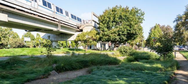 garden under elevated BART train