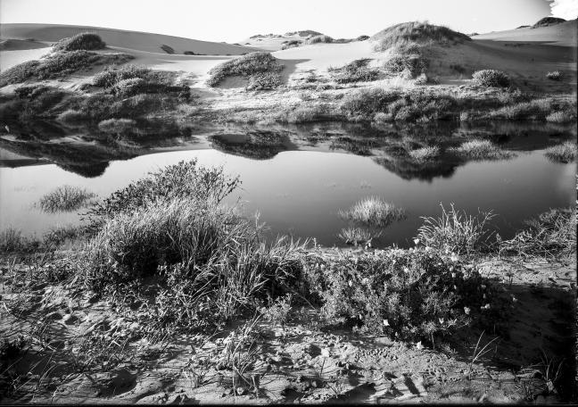 Landscape